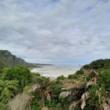 View out from an area of native bush across a beach and out to sea.