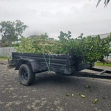 241128 Trailer With Green Waste On It