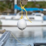 Boy hanging at the port